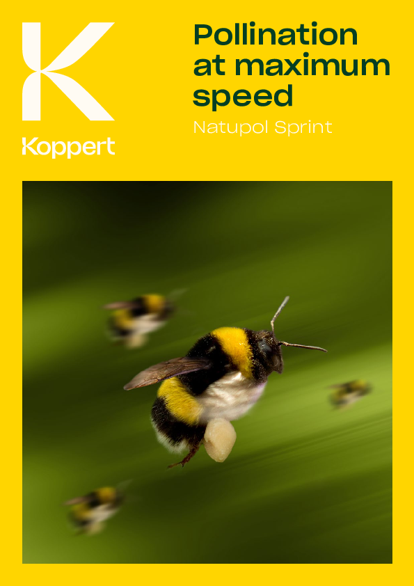 Natupol Sprint Broşürü