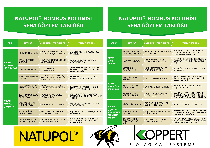 Sera Gözlem Tablosu