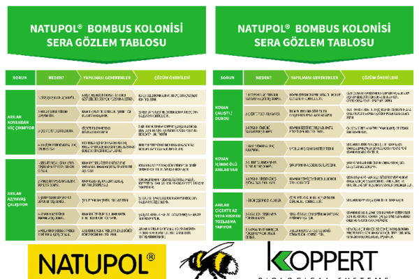 Sera Gözlem Tablosu