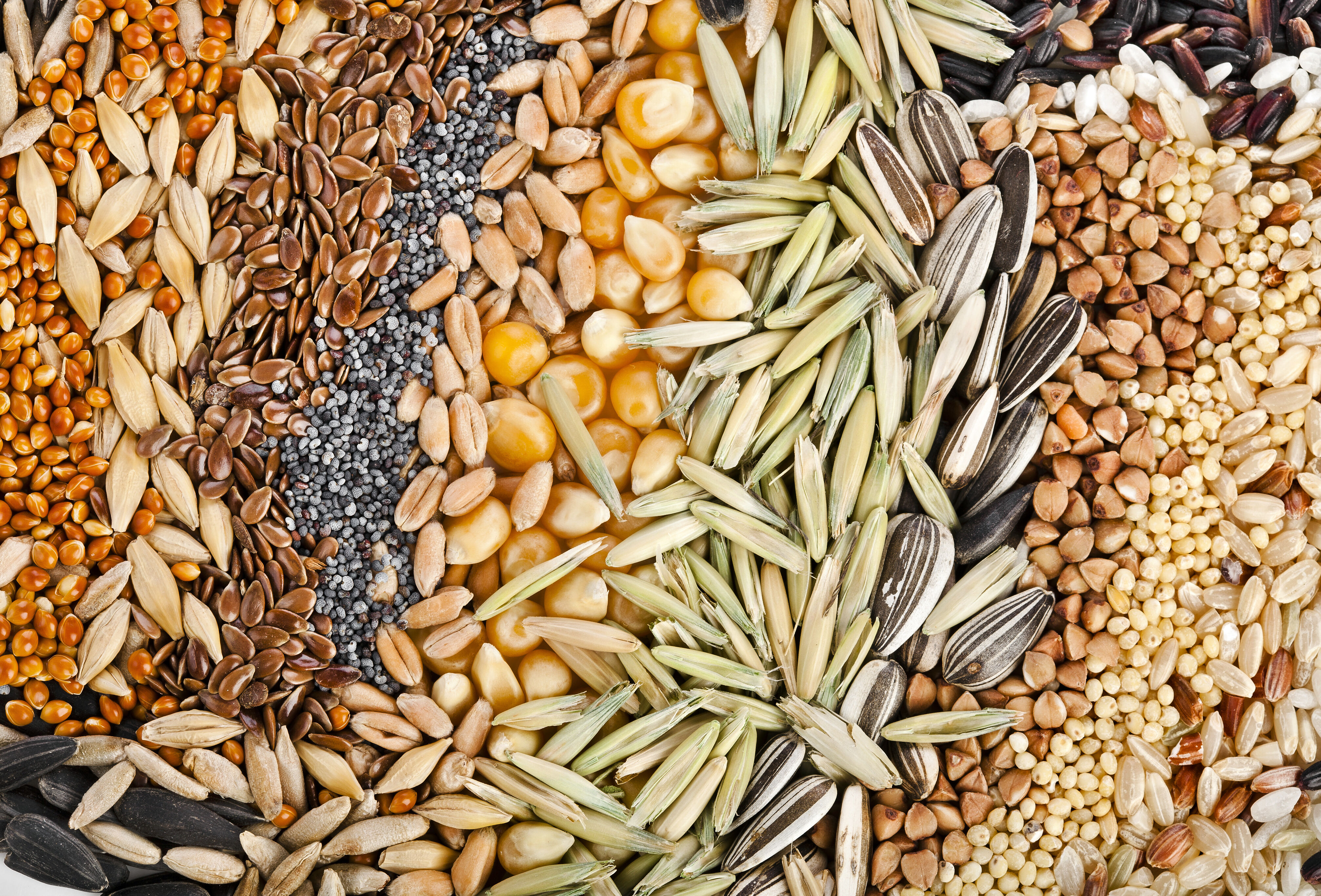 Tarla bitkilerinde Panoramix ile fark yaratın!