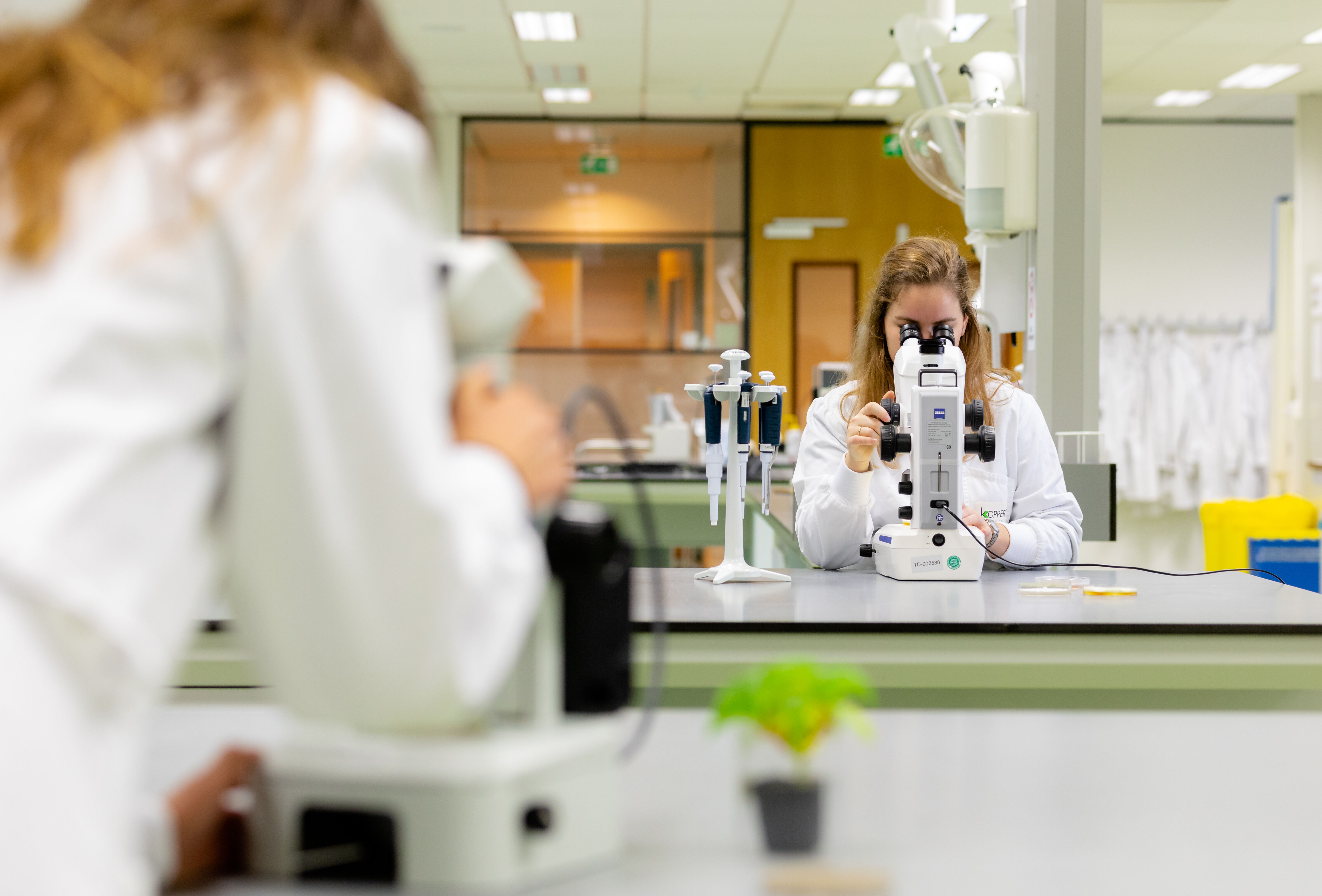 Panoramix’deki Faydalı Mikoriza Mantarları Bitkinizin Köküne Kök Katsın!