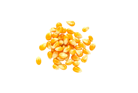 Mikrobiyal Gübreler