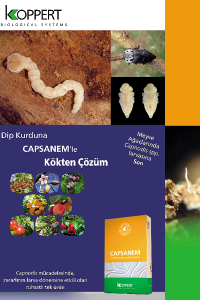 Capsanem Ürün Broşürü