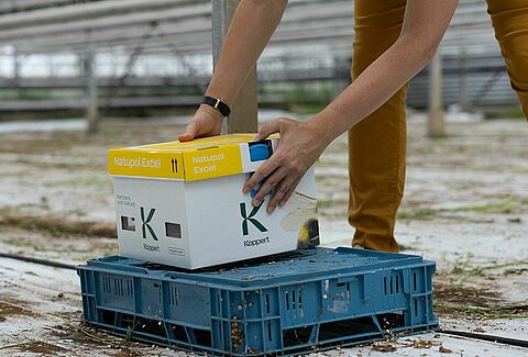 Bombus arısı kovanlarının optimum yerleştirilmesi
