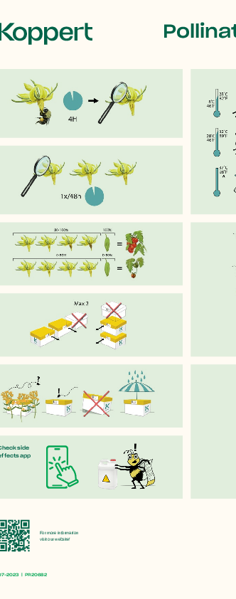 Tozlaşma kontrol listesi Domates