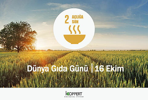 Dünya Gıda Günü