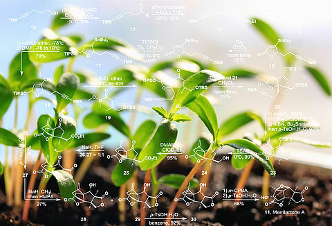 Biyostimülant gübre nedir?
