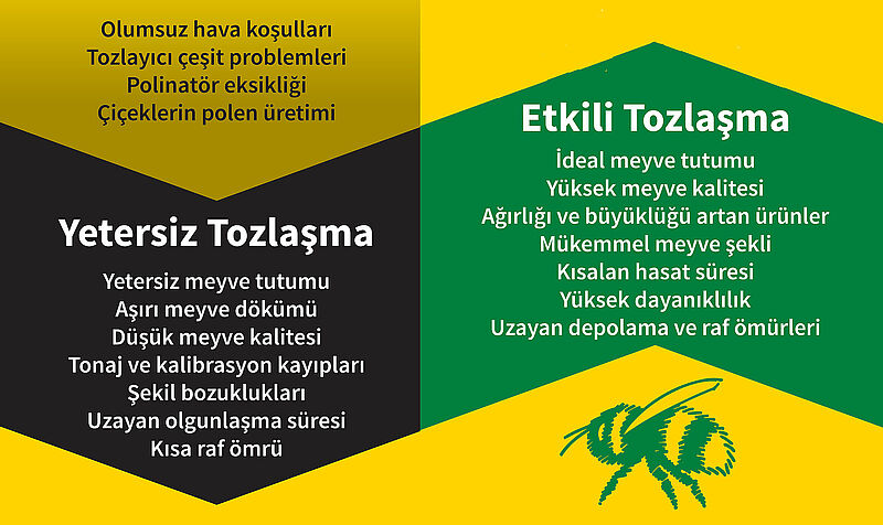a4Brochure