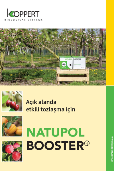 Natupol Booster Broşürü