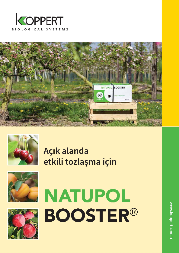 Natupol Booster Broşürü