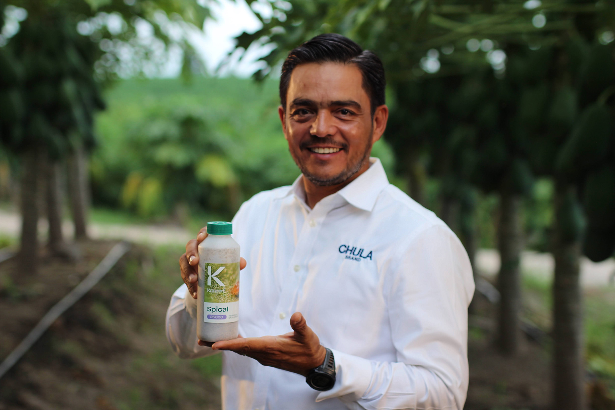 Chula Brand is a pioneer in biological pest control in papaya